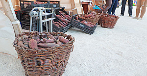 III Feira da Batata Doce (17)__.jpg