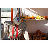 X Feira da abóbora 30 set (124).JPG