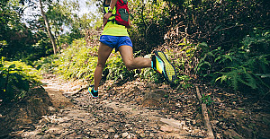 imagens de trail.jpeg