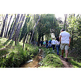 Dia Moinhos 2023 Levadas Azenhas (49)__.jpg