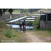 II Trilhos de Vagos jul 23 2.jpg