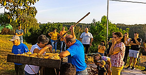 Boco - Debulha do milho.jpg