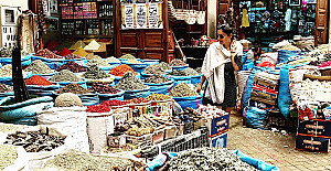 Raquel Oliveira _viagem_5.jpg