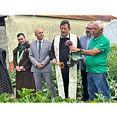 Feira dos Grelos Carapelhos Mira 2024 (4).jpg