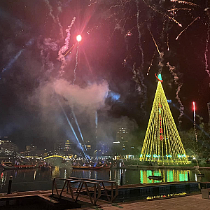 Natal Aveiro Árvore Moliceiros.png