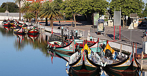 Moliceiros Aveiro motivos pinturas (28) ed588.jpg