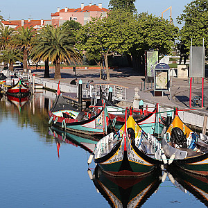 Moliceiros Aveiro motivos pinturas (28) ed588.jpg