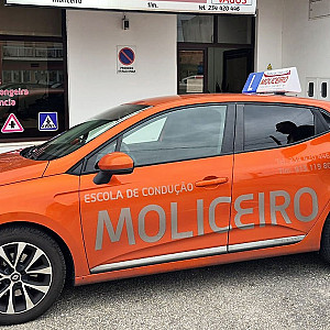 Escola condução Moliceiro _Paulino___.jpg